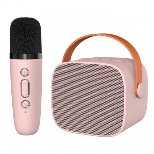 Wireless mini type microphone speaker portable plug-in card outdoor karaoke speaker
